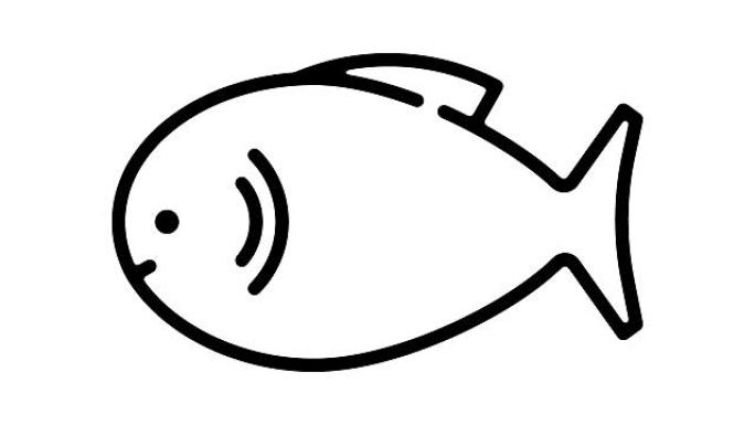 鱼线运动图形