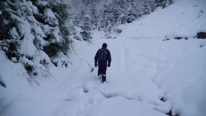 一个年轻人独自走过一片白雪皑皑的森林。年轻漂亮的游客偷偷穿过雪堆。他环顾四周。降雪。晚森林。