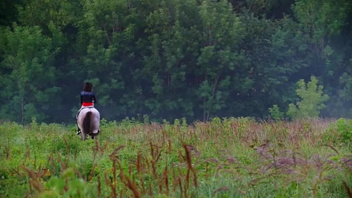 一位年轻的骑手骑着马奔向森林，周围环绕着美丽的大自然