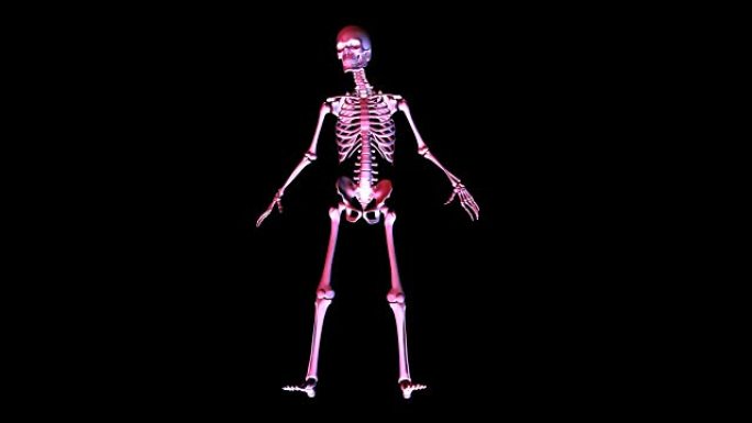 摆姿势骨架的数字3D动画