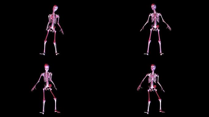 摆姿势骨架的数字3D动画