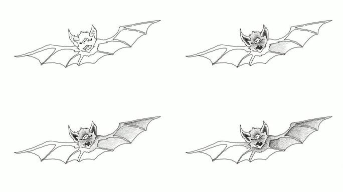 万圣节庆祝视频剪辑的邪恶蝙蝠手绘