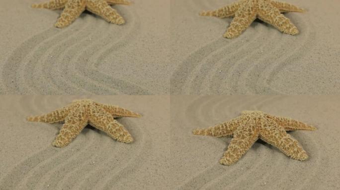 一只美丽的黄色海星躺在沙子制成的锯齿形上。