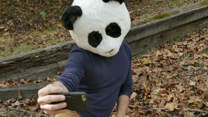 男子戴熊猫头罩用手机给自己拍照