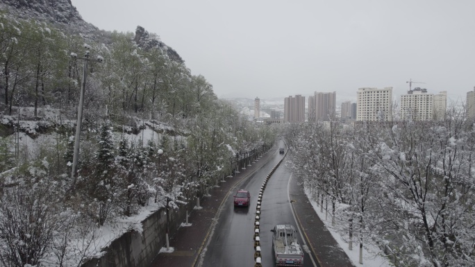 春雪 大通 风景 大山 树木 雪