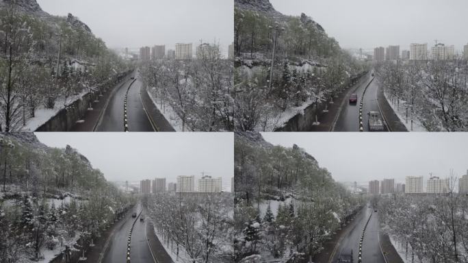 春雪 大通 风景 大山 树木 雪