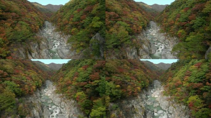日本to木日光龙京谷和秋叶的鸟瞰图