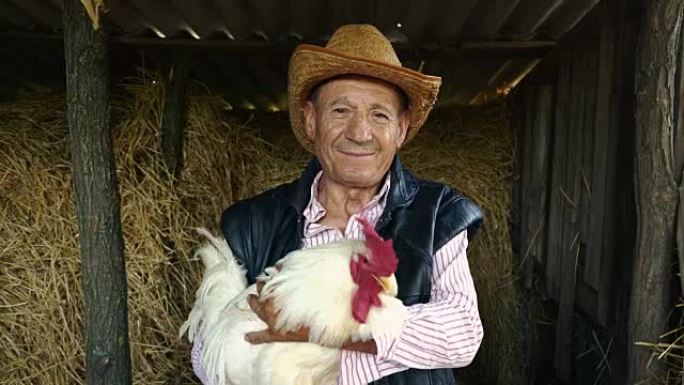 一位戴着草帽的老年农民正拿着一只活的白色公鸡。干草背景上有一只白色公鸡的男人的肖像