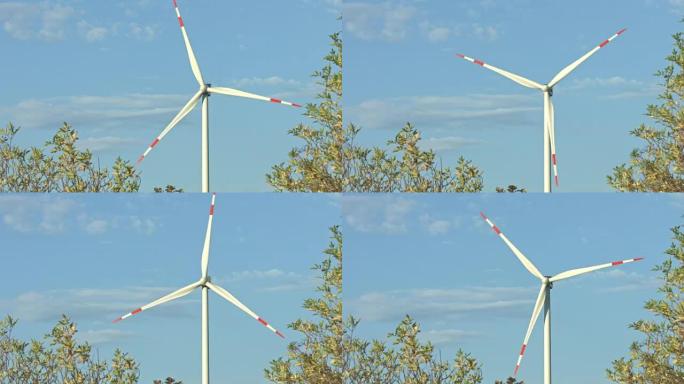 夏季的风力涡轮机和农田