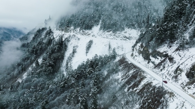 汽车前往夹金山盘山路白雪覆盖森林云雾弥漫