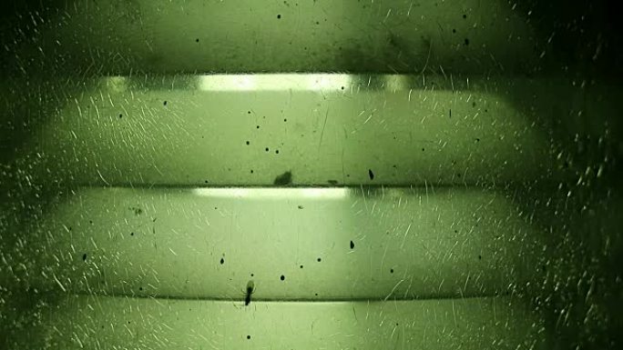 绿色裂纹玻璃灯灯和飞蚁