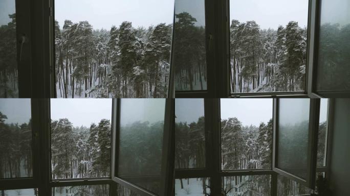 窗户。俯瞰白雪皑皑森林的窗户