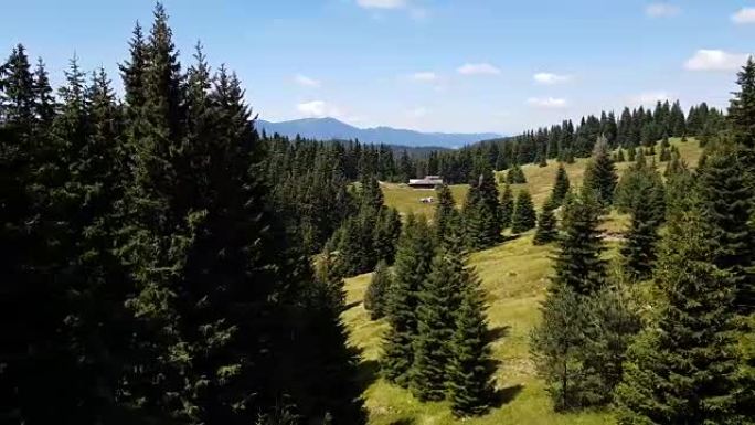 保加利亚山区森林的空中特写视图。