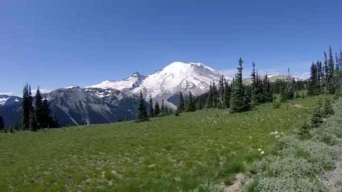 雷尼尔山国家公园车窗山景