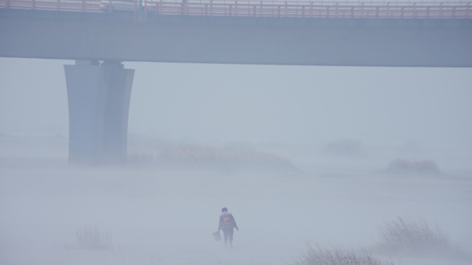 发雾天滩涂上渔民赶海