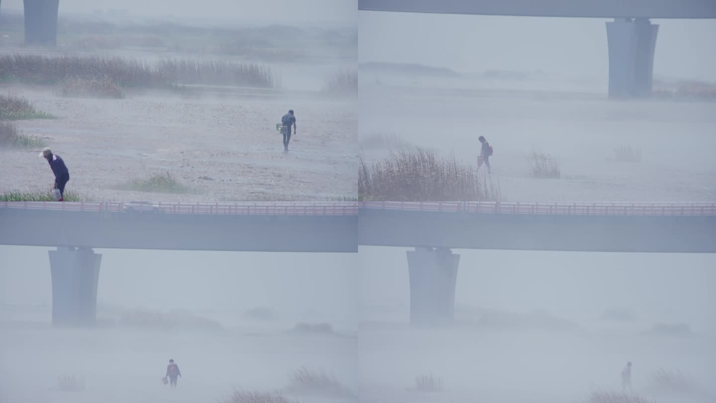 发雾天滩涂上渔民赶海