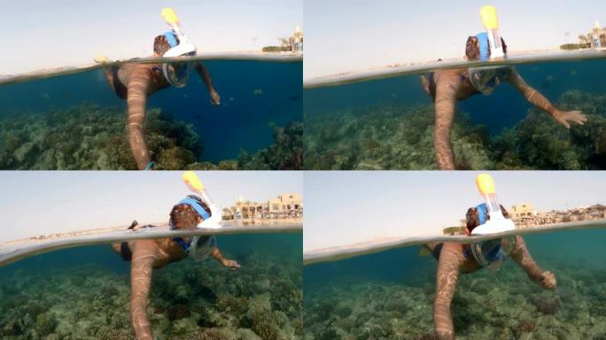 埃及红海浮潜游泳分体式景观