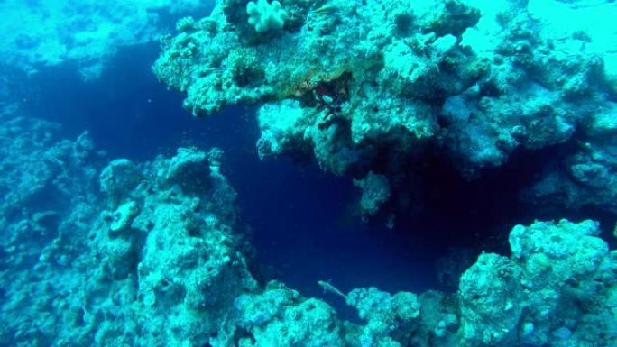 埃及达哈卜在红海潜水
