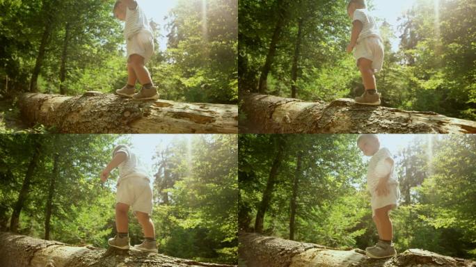 SLO MO蹒跚学步的孩子在阳光明媚的森林中倒下的树干上行走