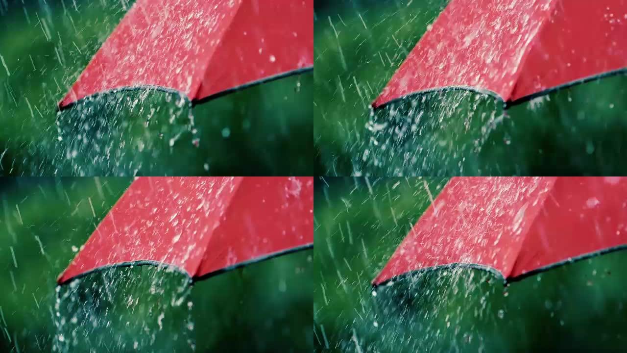 大雨落在红色的雨伞上