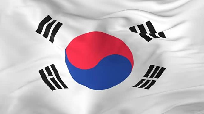 挥舞着环形旗帜作为韩国的背景