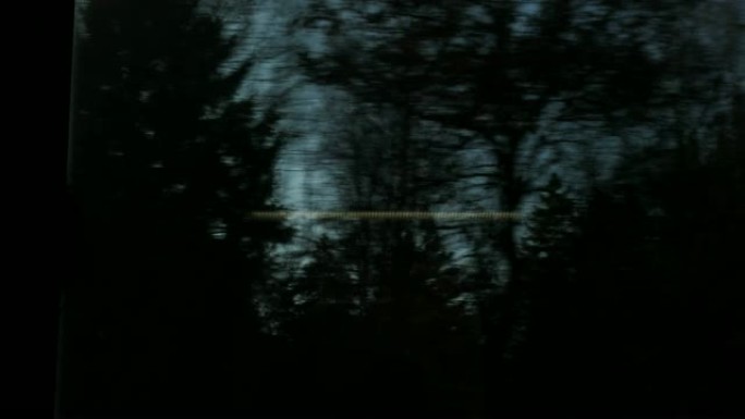 裸露的冬季树木经过窗户火车
