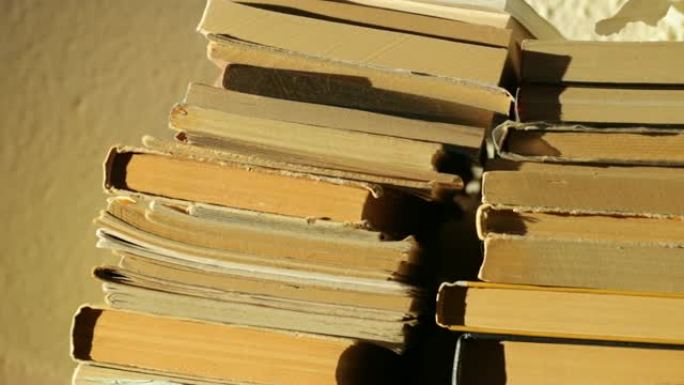 阳光中的旧书堆