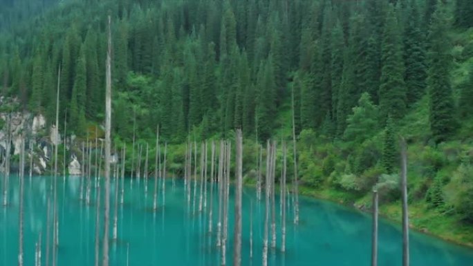 哈萨克斯坦的Kaindy湖也被称为桦树湖或水下森林。