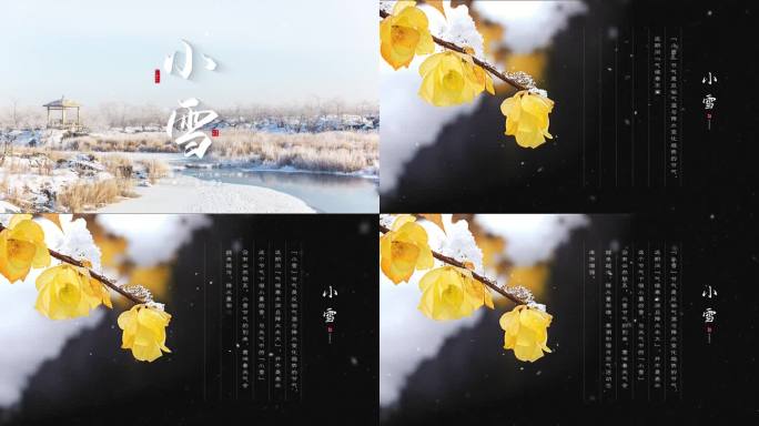 二十四节气——小雪