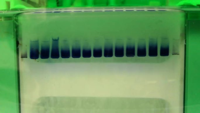 电泳实验。大分子分离的科学技术。