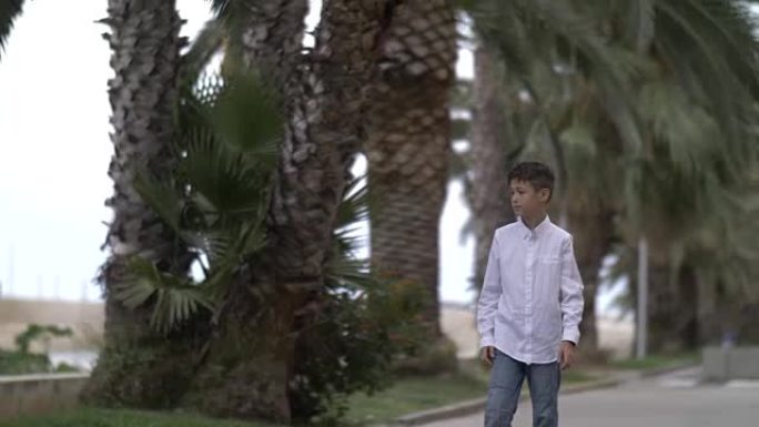 有趣的男孩在棕榈树的背景下上路
