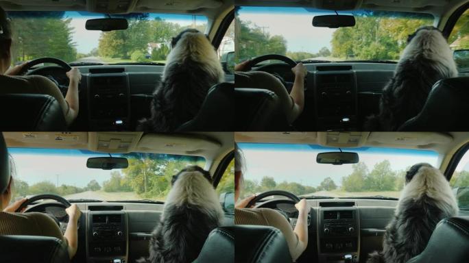 一名妇女与她心爱的狗坐在附近乘汽车旅行