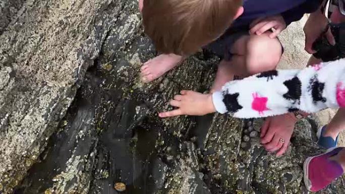 孩子们在调查岩石池