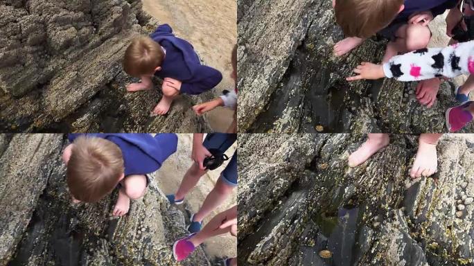 孩子们在调查岩石池