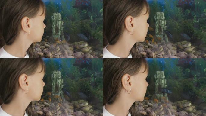 女孩看着水族馆里的鱼。