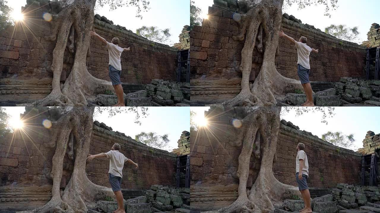 在亚洲旅行的男子参观柬埔寨的古老寺庙，站在树旁张开双臂，以自由和积极的情感