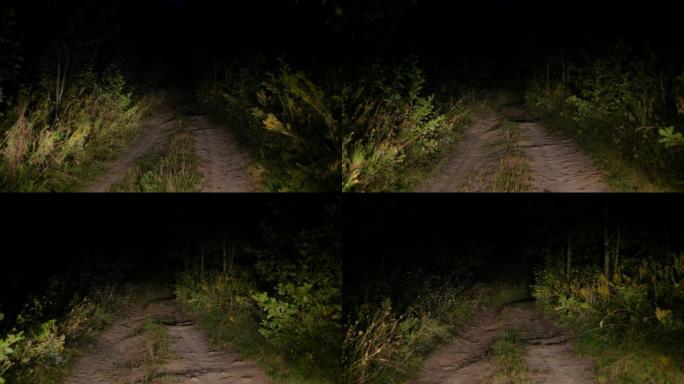 在暮色中驾驶在糟糕的乡村道路在灌木丛的前灯的光