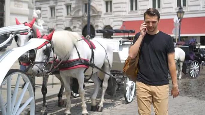 游客在维也纳漫步，看着马车上美丽的马