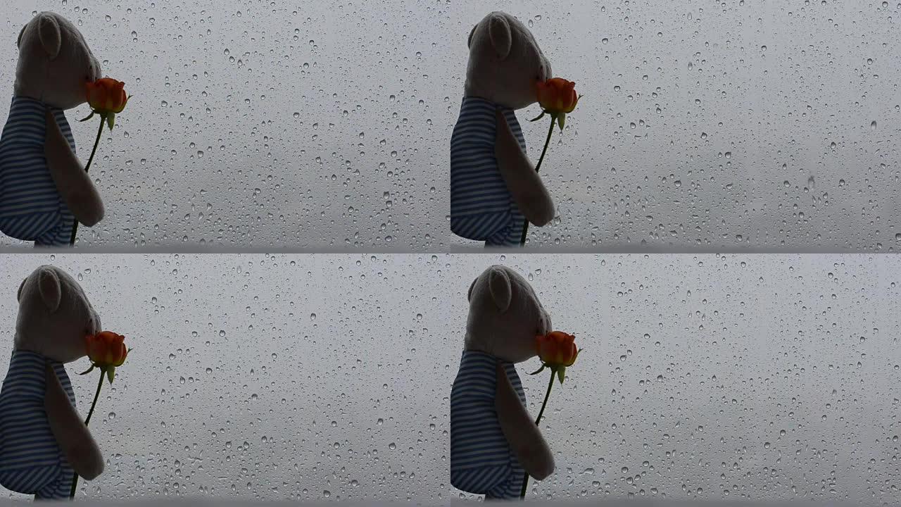 泰迪熊的镜头站在窗户上，雨滴在玻璃上，拿着玫瑰花，从窗户向外看。照片有文字空间。
