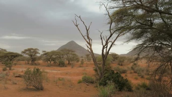 沙漠中的三角山，红沙和相思树