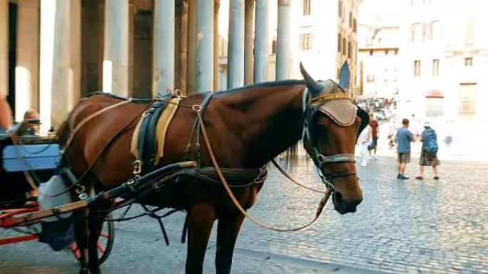 罗马万神殿广场运送游客的马车