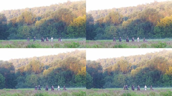 六个朋友在大自然的背景中骑马，迷雾森林在8月的清晨