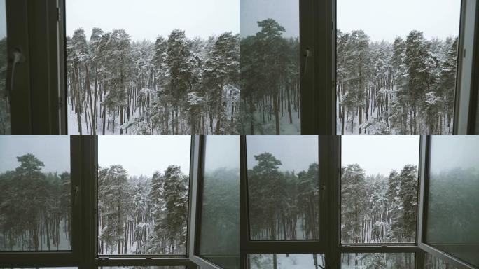 窗户。俯瞰白雪皑皑森林的窗户