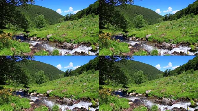 法国比利牛斯山的山溪
