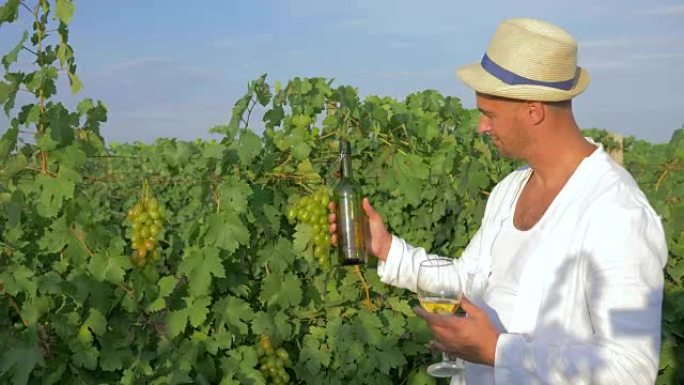 年轻的侍酒师在秋天收获的葡萄园里品尝葡萄酒，种植成熟的葡萄