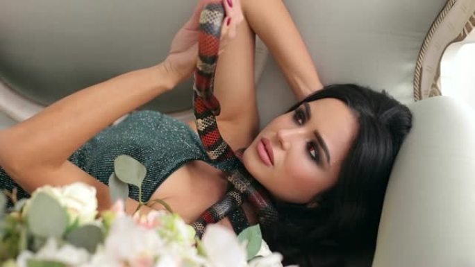 白色工作室里一个带着蛇的豪华模特女孩的肖像。