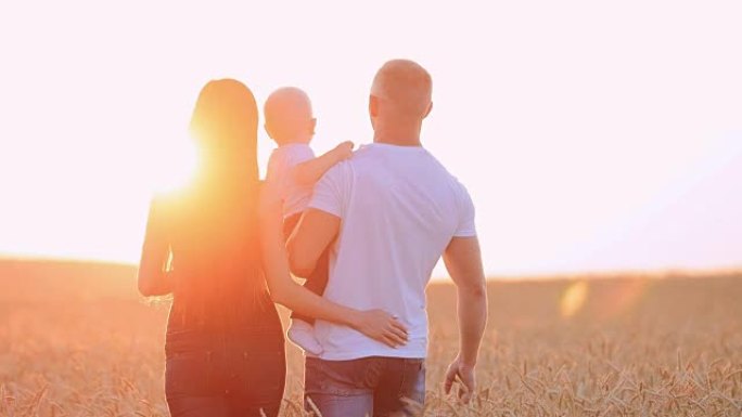 日落时分，家人在田野里散步。从后面看