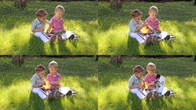 两个小男孩在公园里有一本相册。