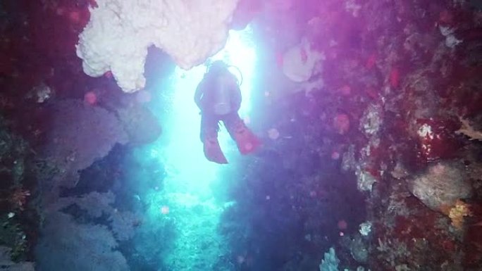 印度尼西亚美丽的班达群岛的洞穴潜水