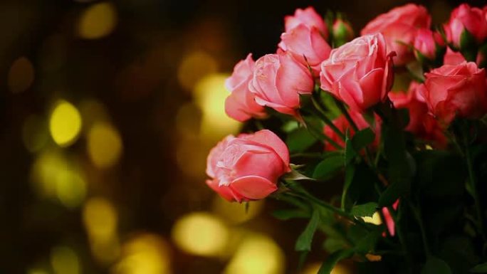 粉色玫瑰花高清素材金色博克
